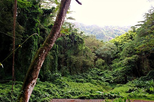 Tour image 5