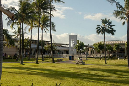 Tour image 4