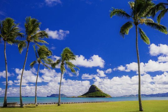 Tour image 9