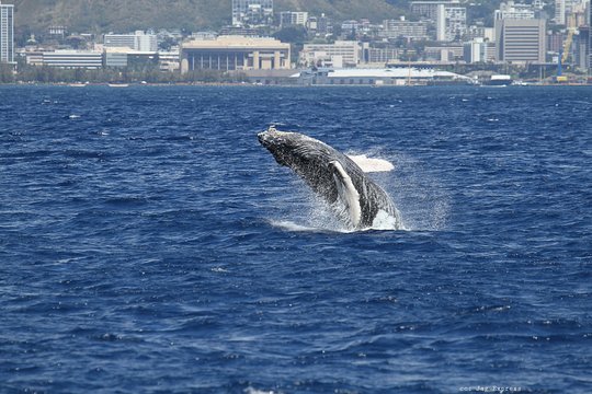 Tour image 6