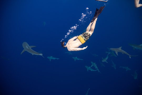 Tour image 3