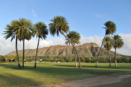 Tour image 5