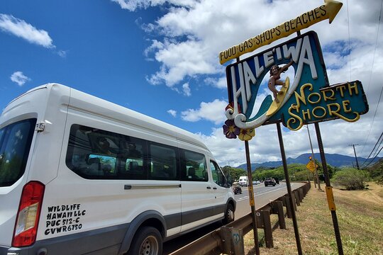 Tour image 1