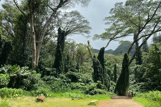 Tour image 7
