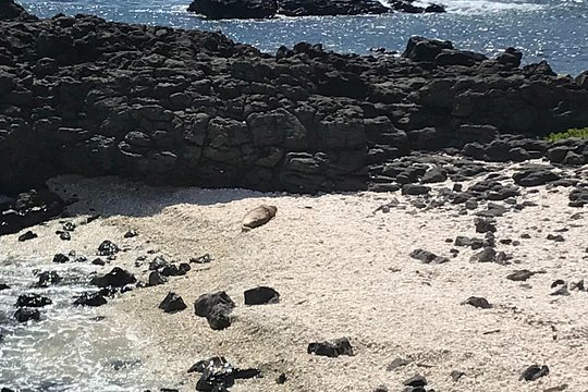 Tour image 9
