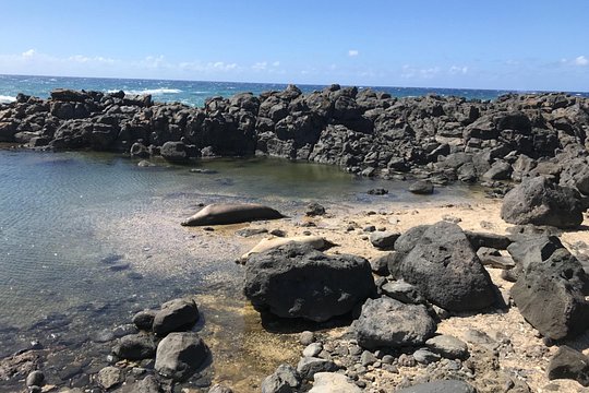 Tour image 11