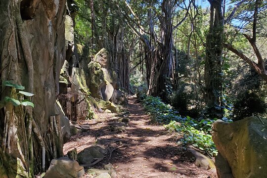 Tour image 6