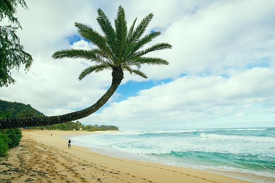 Tour image 8