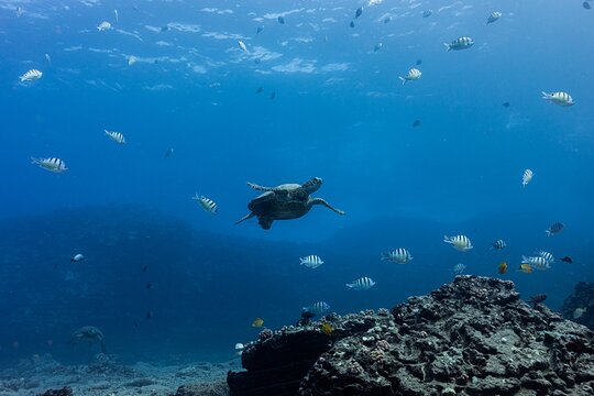 Tour image 6