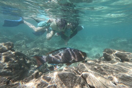 Tour image 5
