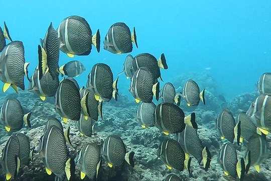 Tour image 6