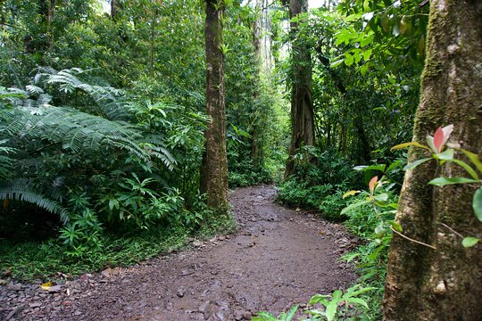 Tour image 7
