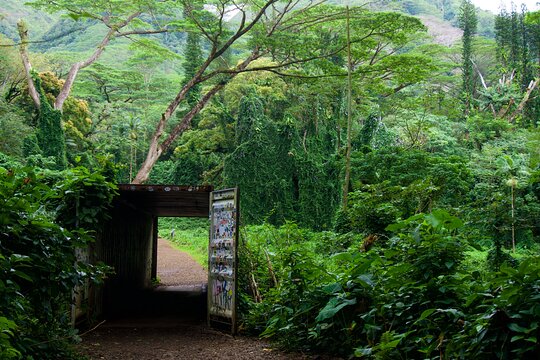 Tour image 5