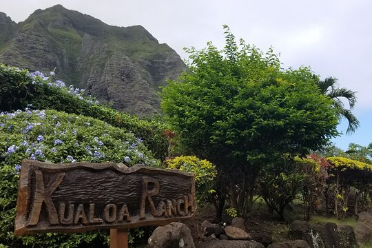Tour image 12